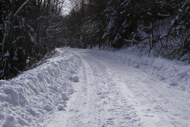 4. ročník Čergovskej stopy