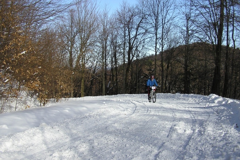 4. ročník Čergovskej stopy