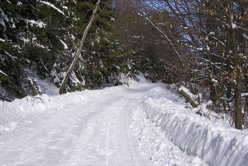 4. ročník Čergovskej stopy