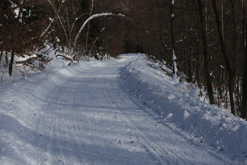 4. ročník Čergovskej stopy