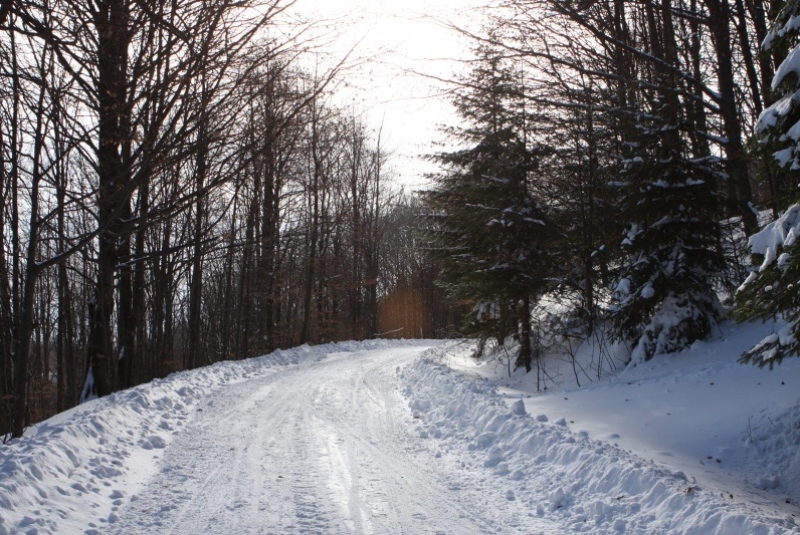 4. ročník Čergovskej stopy